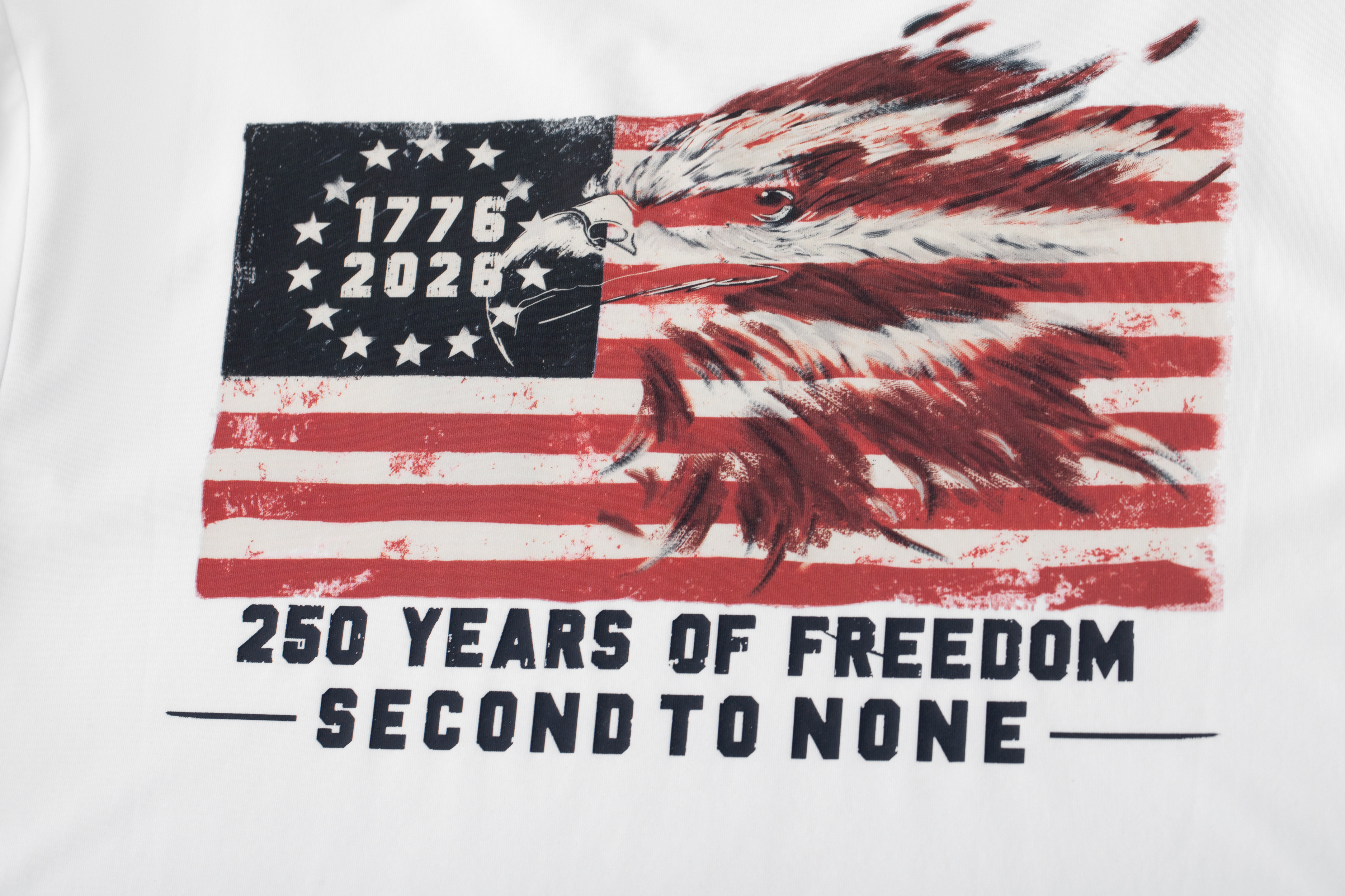 250 YEARS OF FREEDOM - SECOND TO NONE - 图片 14